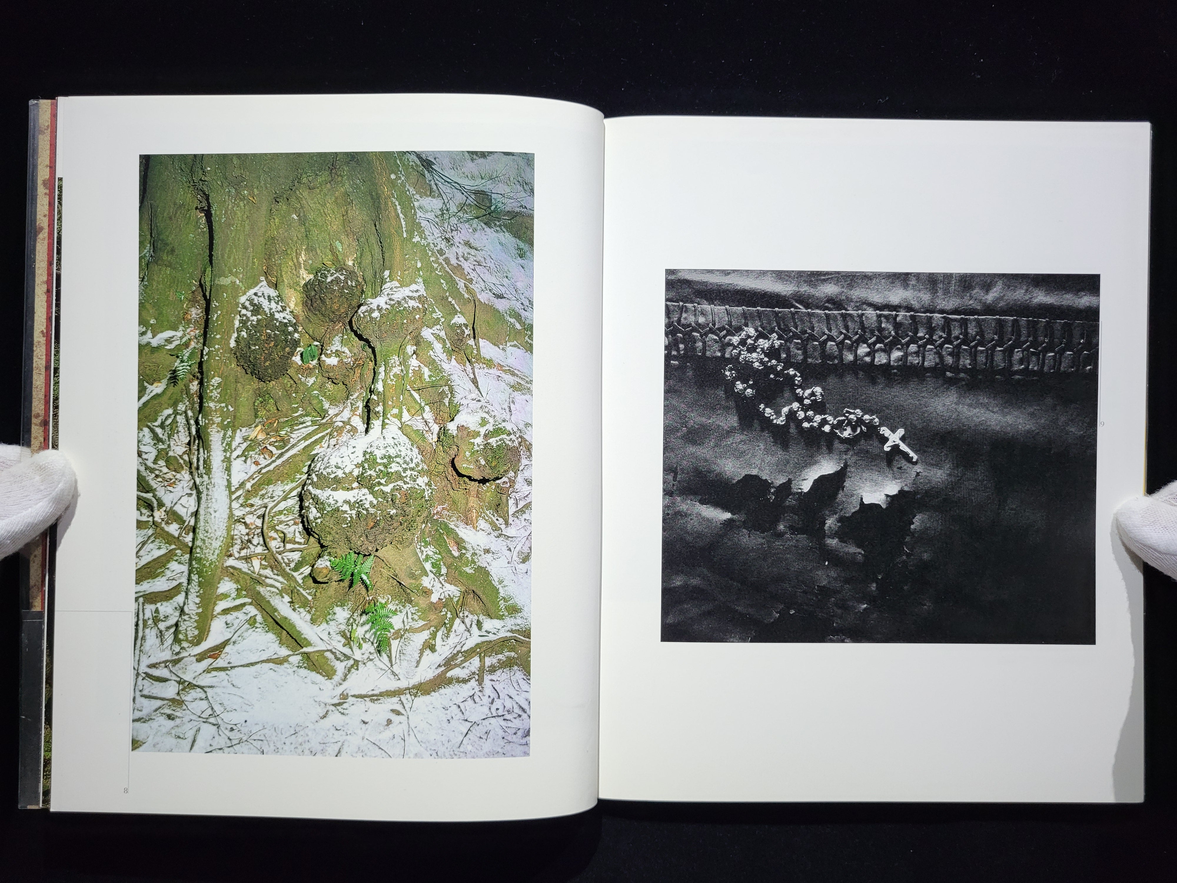 【廃園】東松照明作品集 廃園 東松照明作品集(東松照明 Shomei Tomatsu) / 古本、中古本