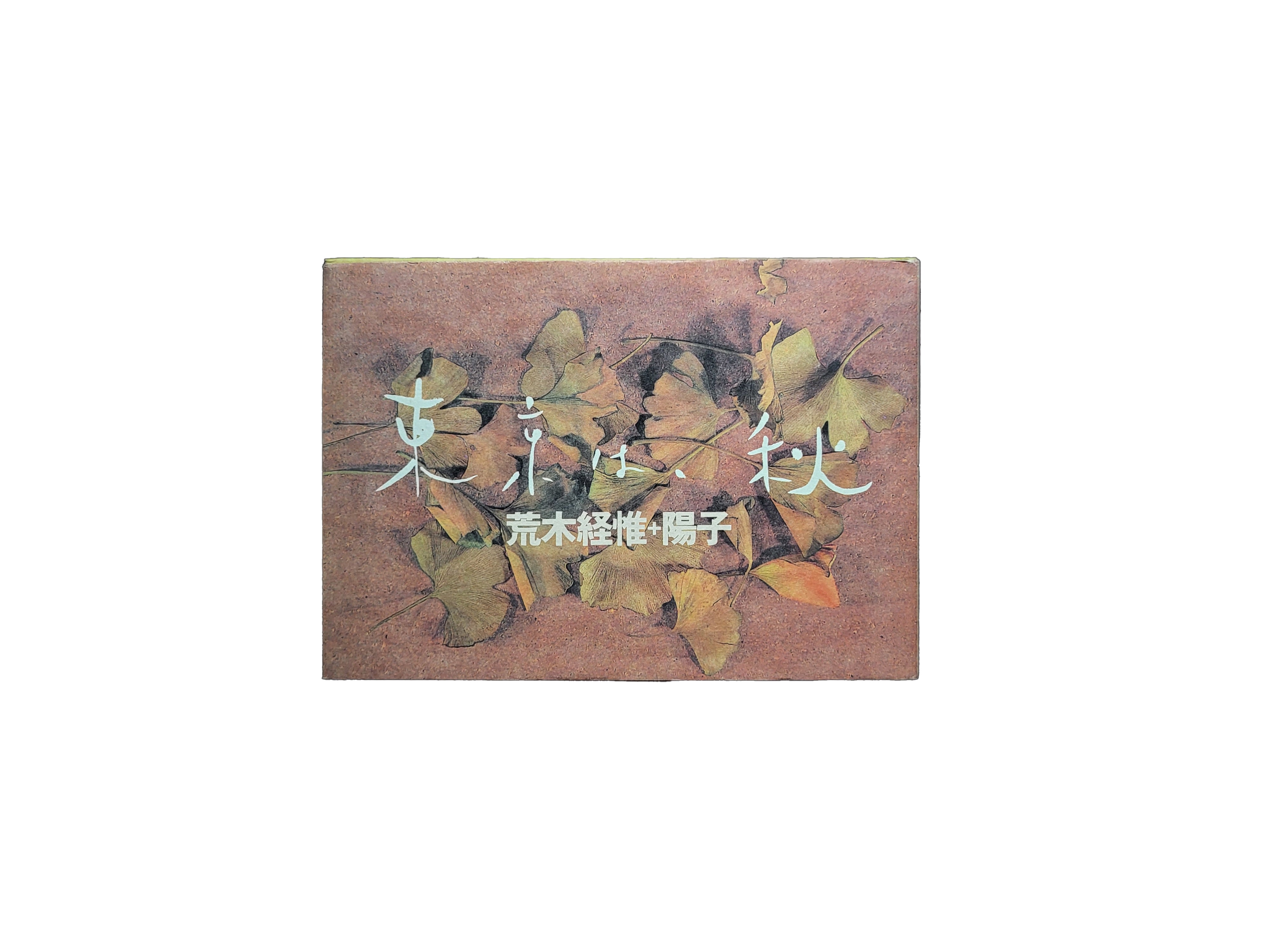 東京は、秋/ 荒木経惟| hiponoz攝影書店