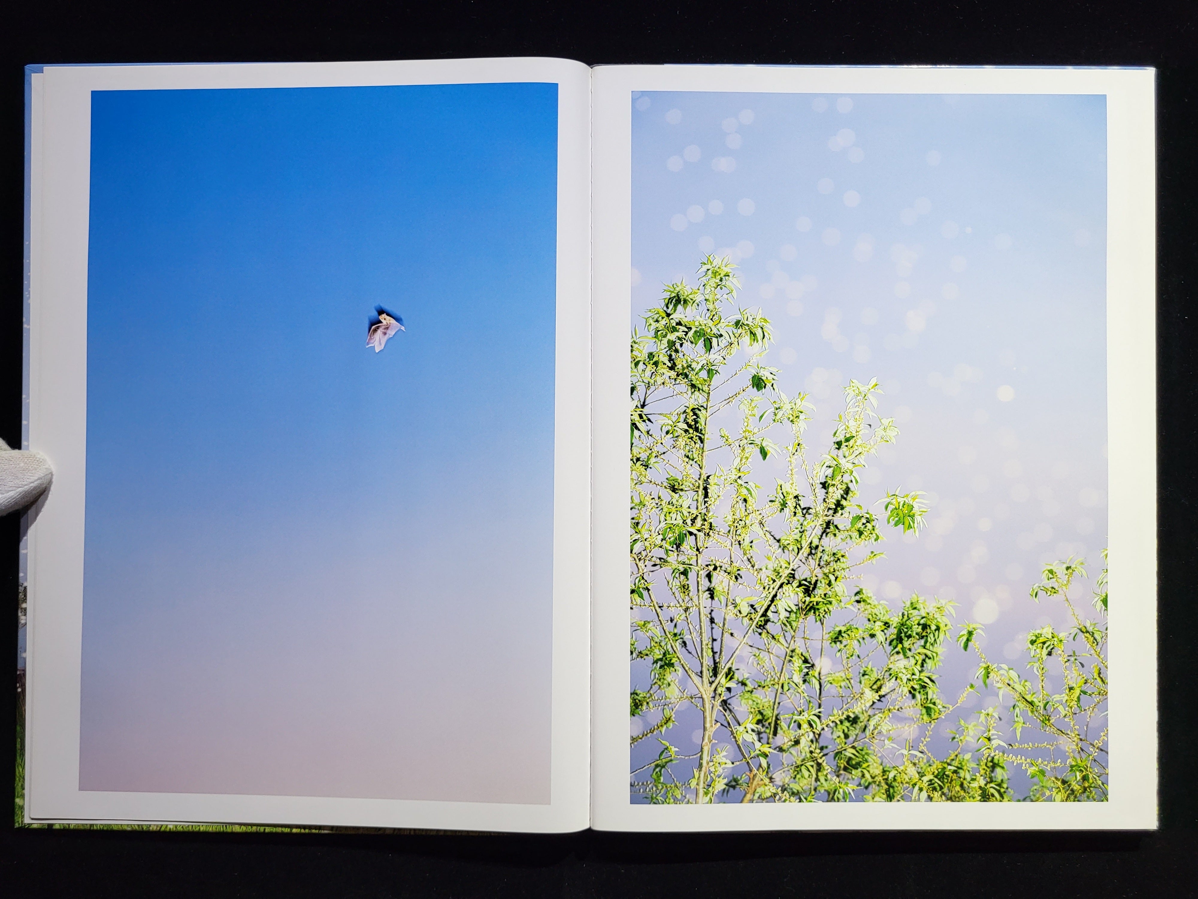 YUSURIKA / 水谷吉法| hiponoz攝影書店