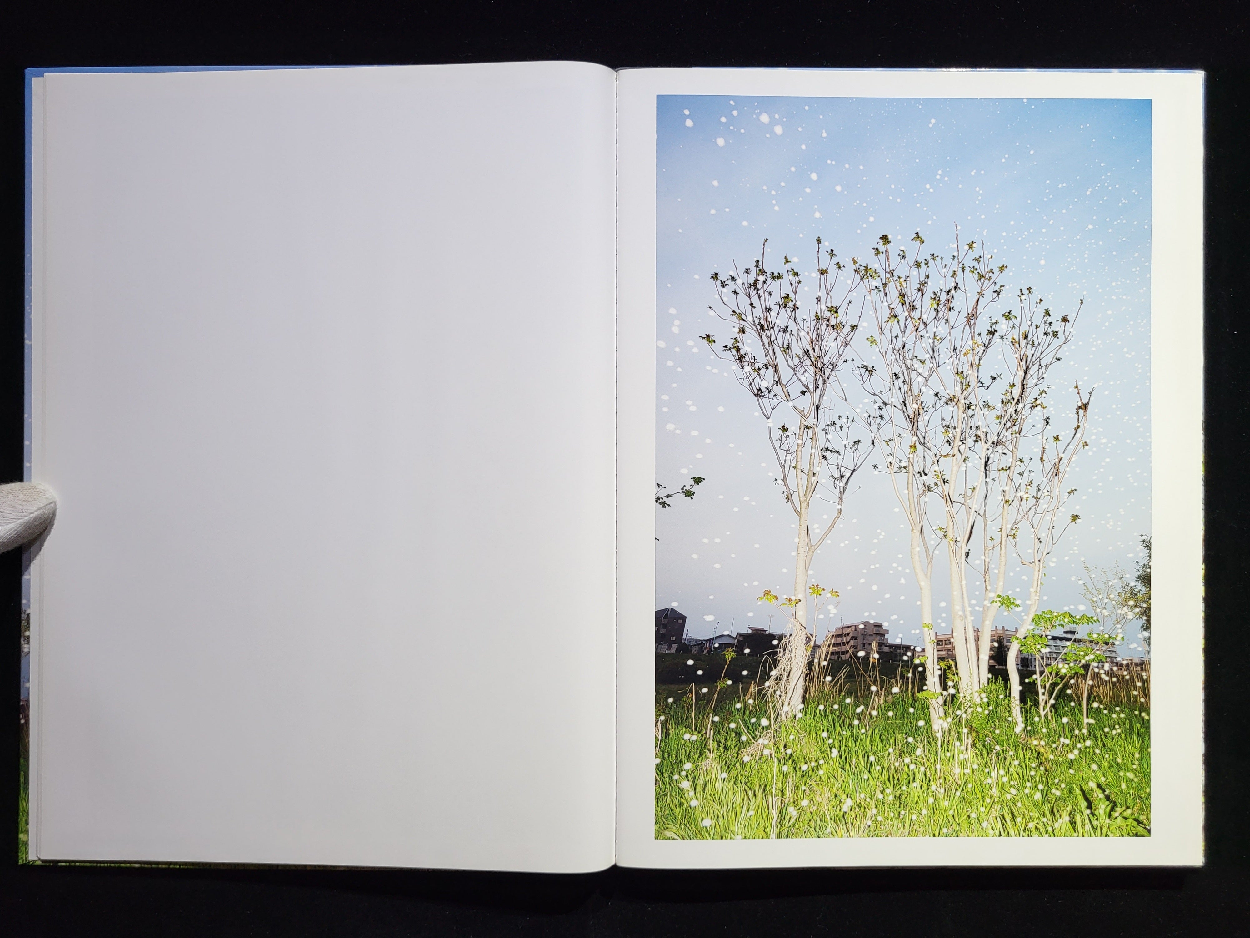 希少本】Yusurika / 水谷吉法 YUSURIKA - 水谷吉法 | shashasha 写々者