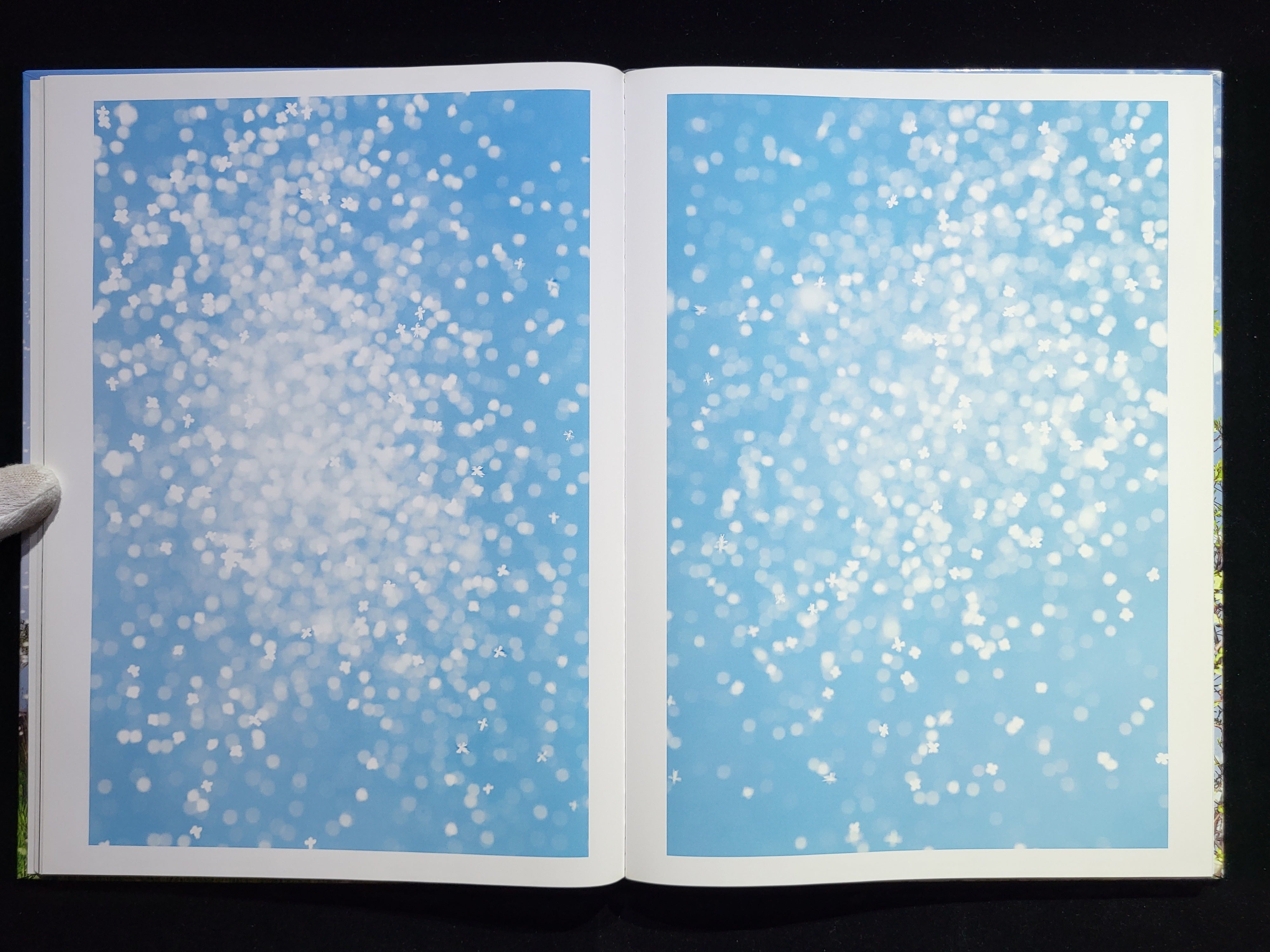 【希少本】Yusurika / 水谷吉法 YUSURIKA - 水谷吉法 | shashasha 写々者 - 写真集とアートブック