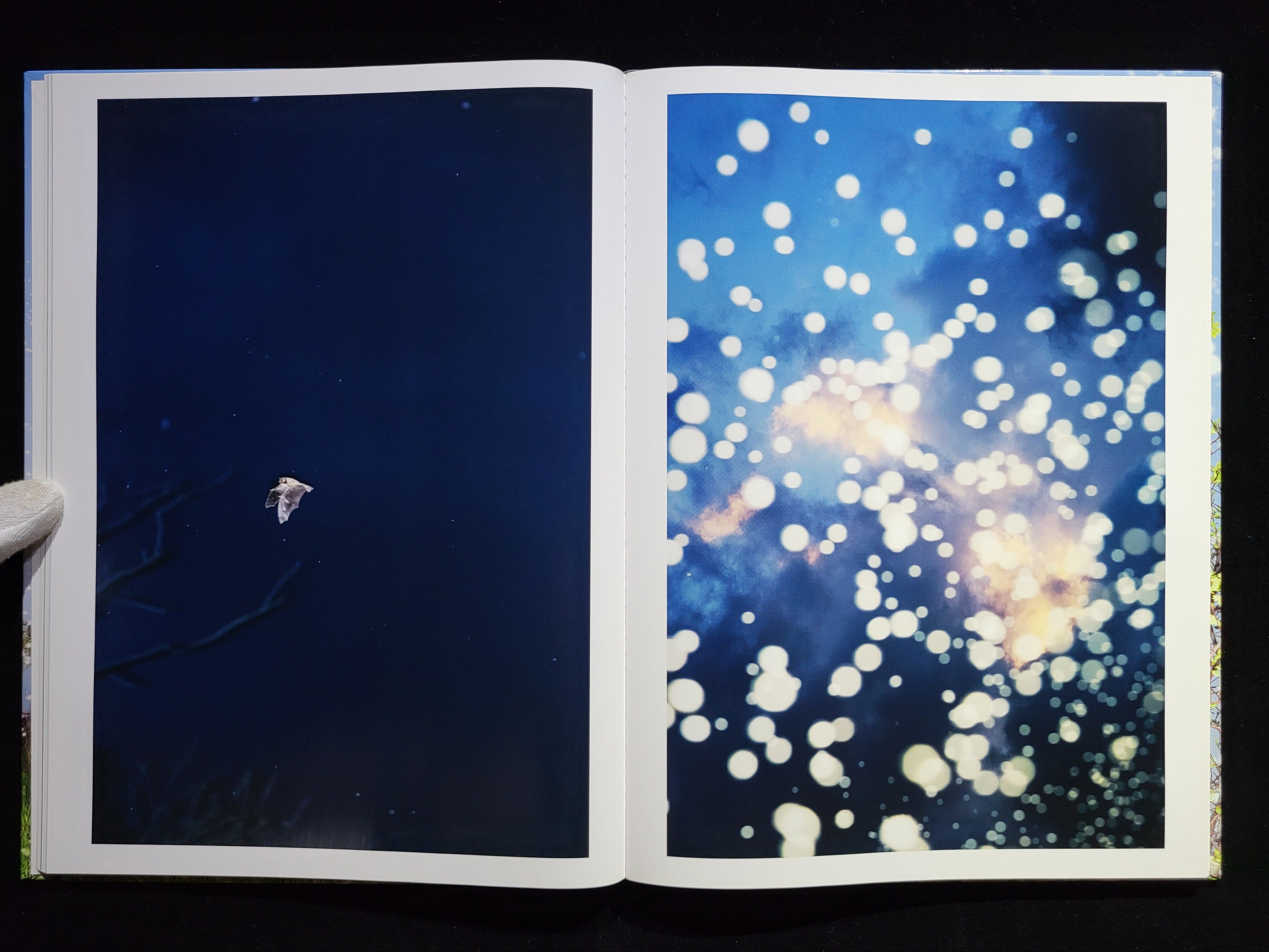 YUSURIKA / 水谷吉法| hiponoz攝影書店