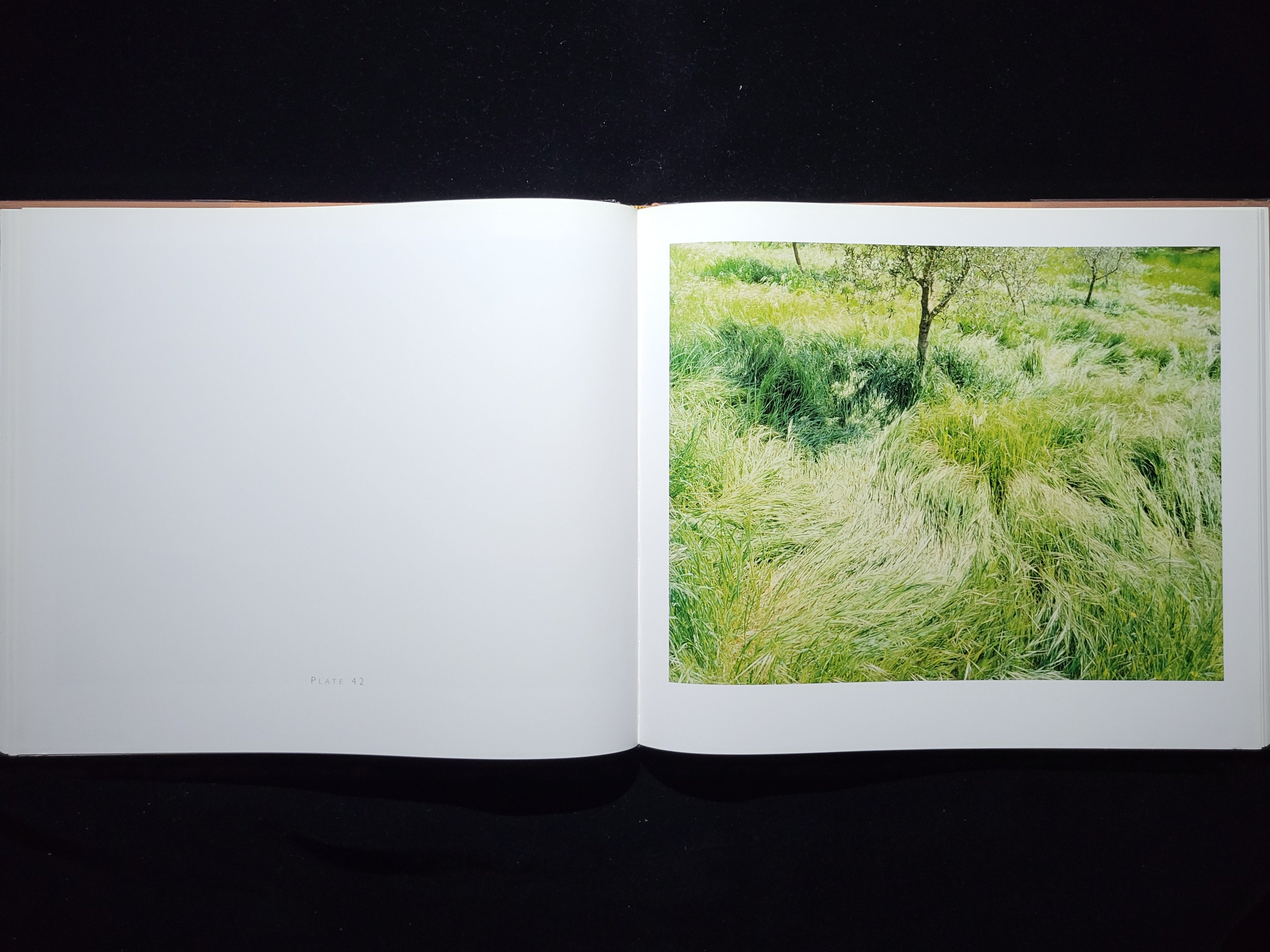 TUSCANY Inside the Light / Joel Meyerowitz | hiponoz攝影書店