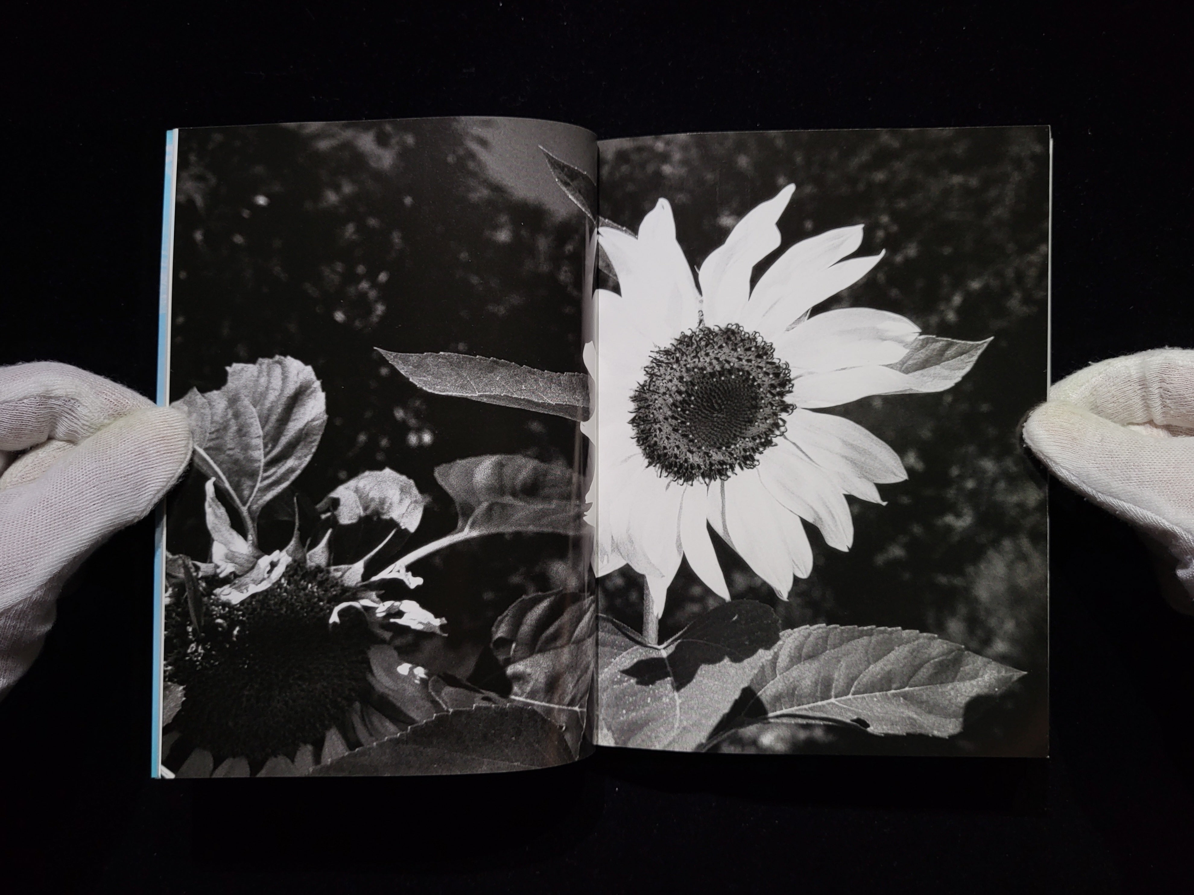 吉川ひなのAccidents Series 8 / 篠山紀信| hiponoz攝影書店