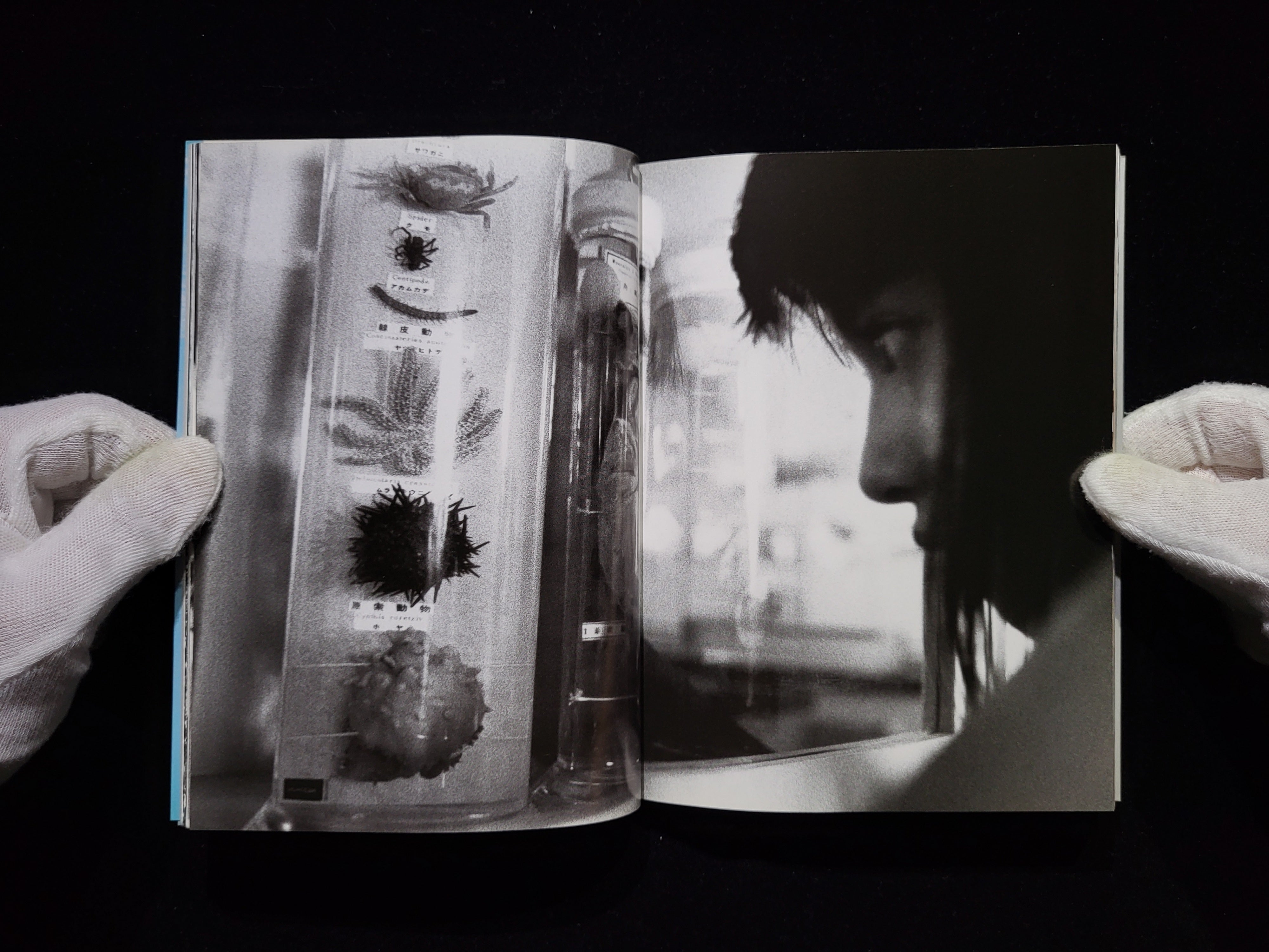 写真集 吉川ひなの 篠山紀信 Accidents Series 8 アクシデント 71XGDVNLjbL._AC_UF350,