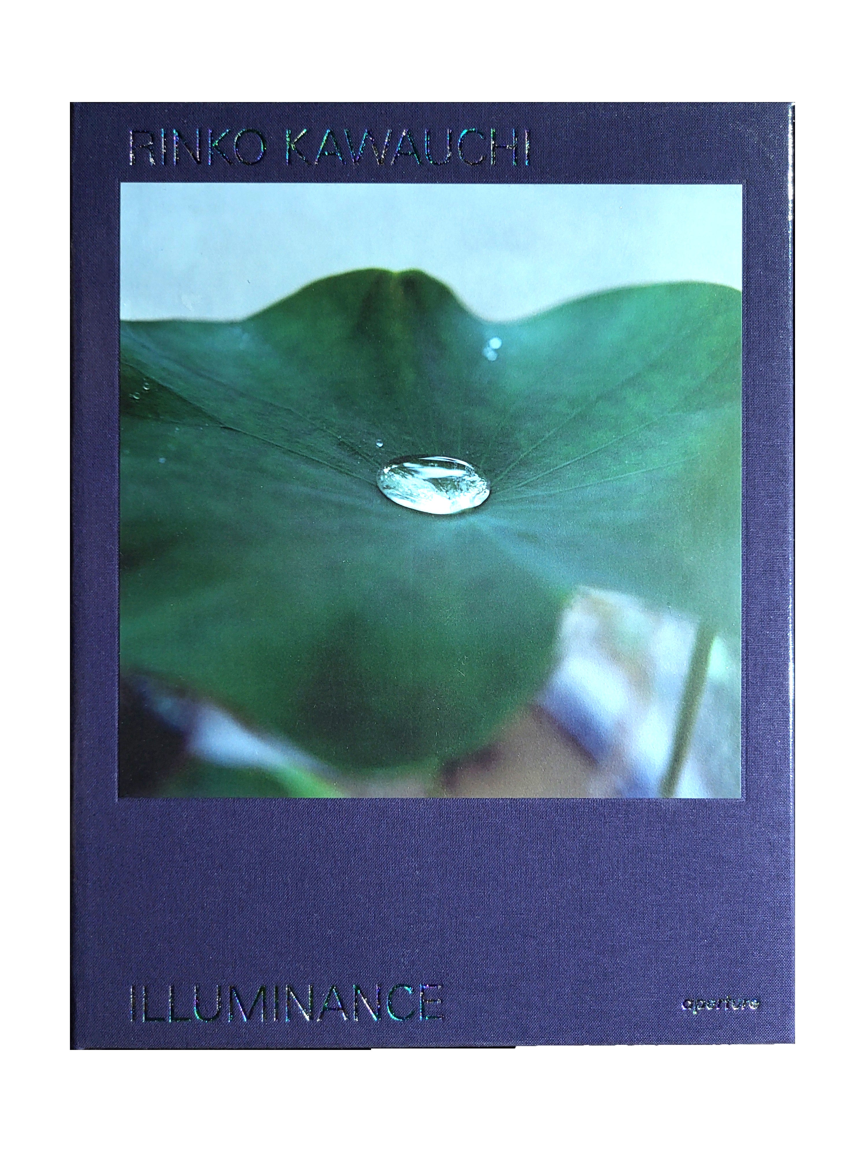 Rinko Kawauchi: Illuminance / 川内倫子 | hiponoz攝影書店