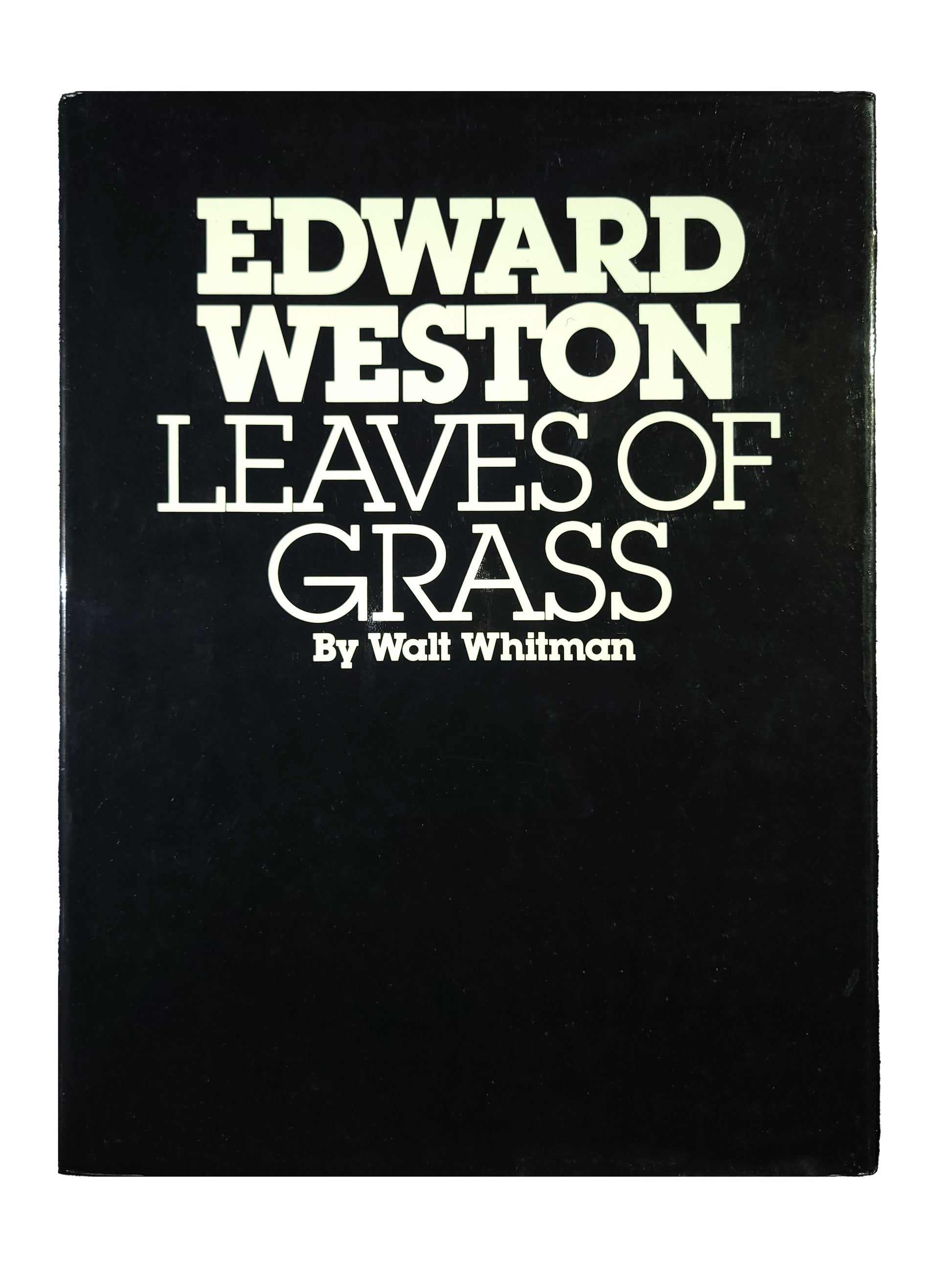 EDWARD WESTON: Leaves of Grass