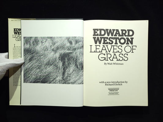 EDWARD WESTON: Leaves of Grass