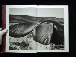 Genesis Sebastiao Salgado