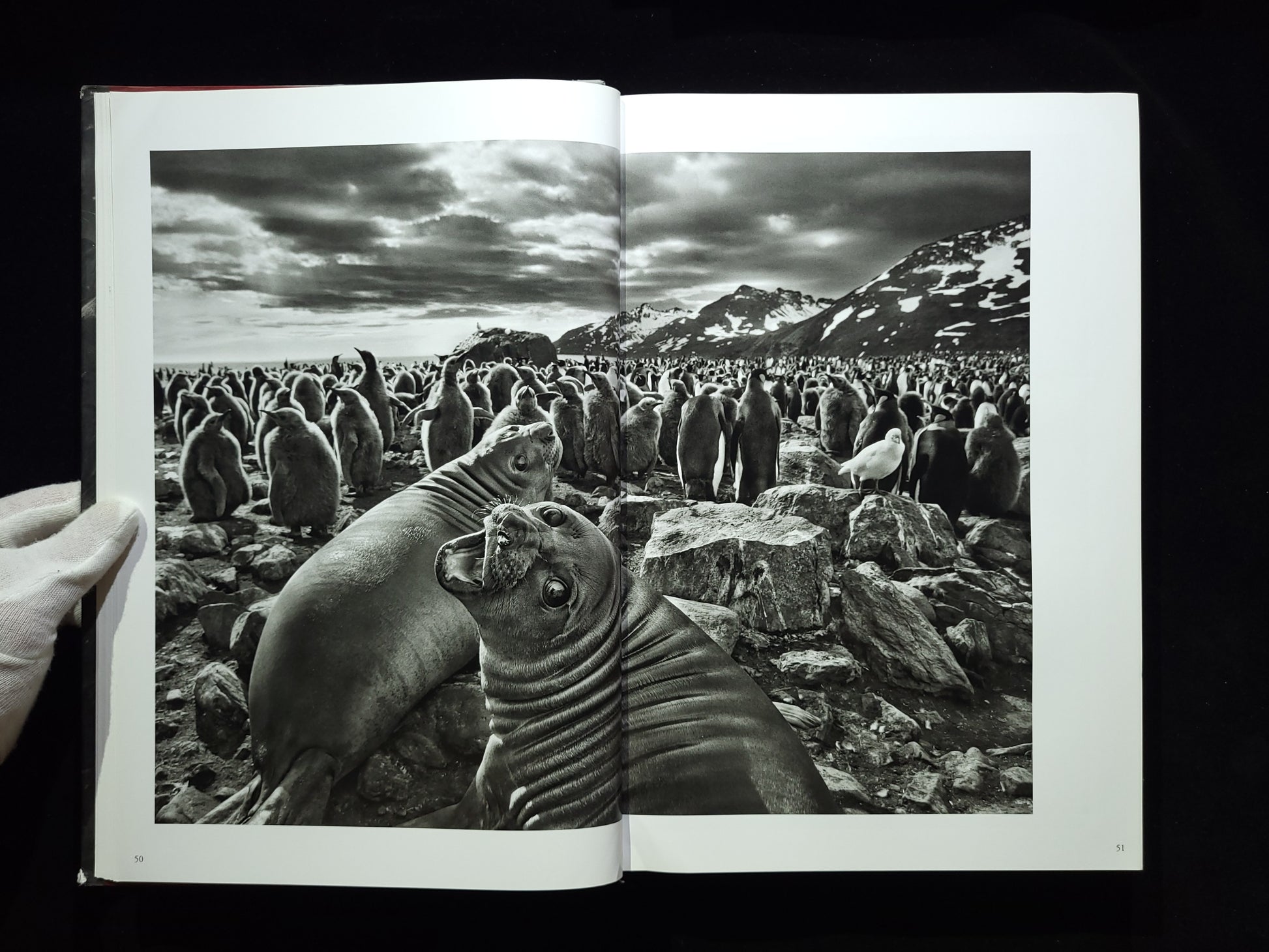 Genesis Sebastiao Salgado