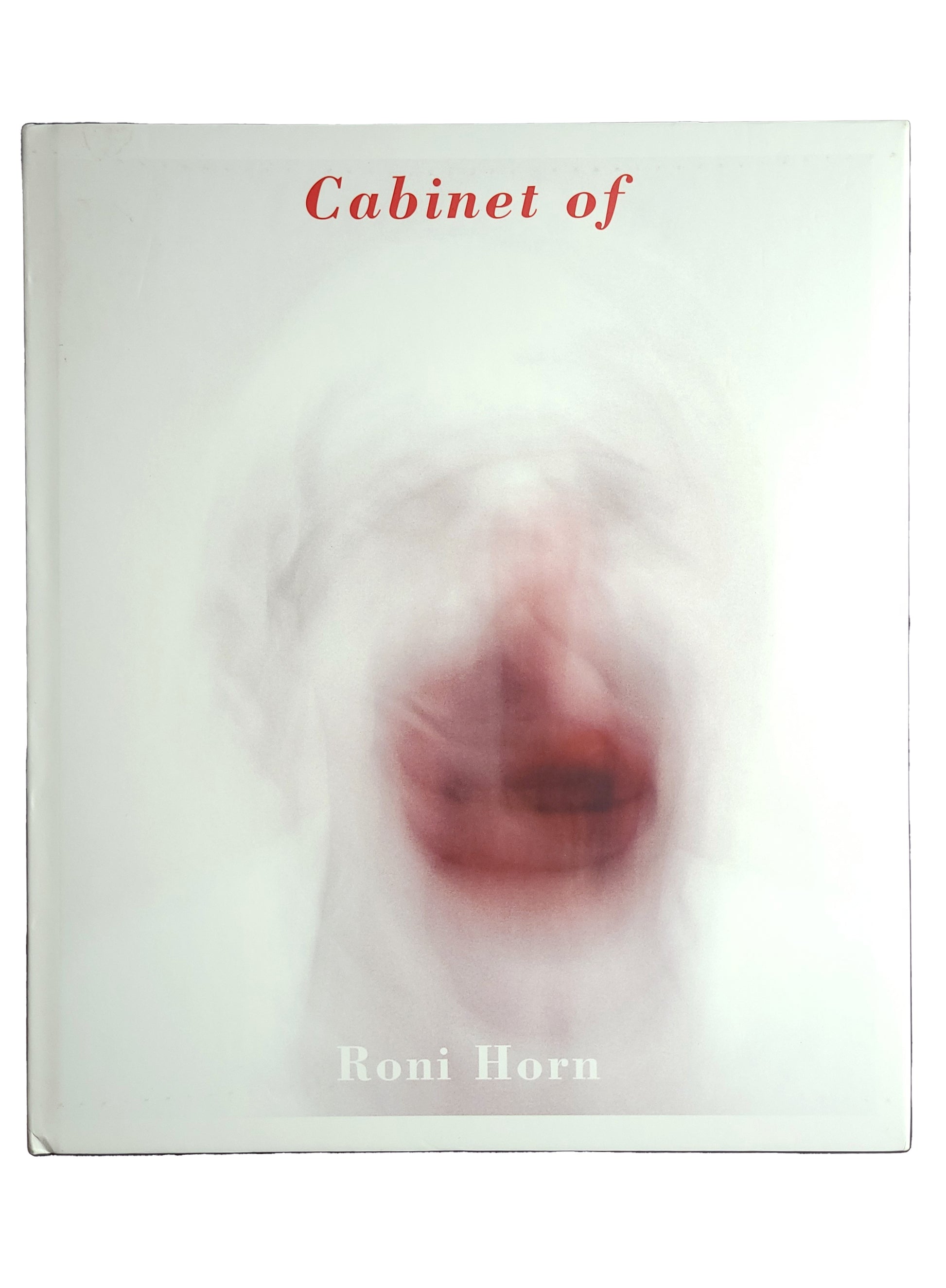 Cabinet Of Roni Horn