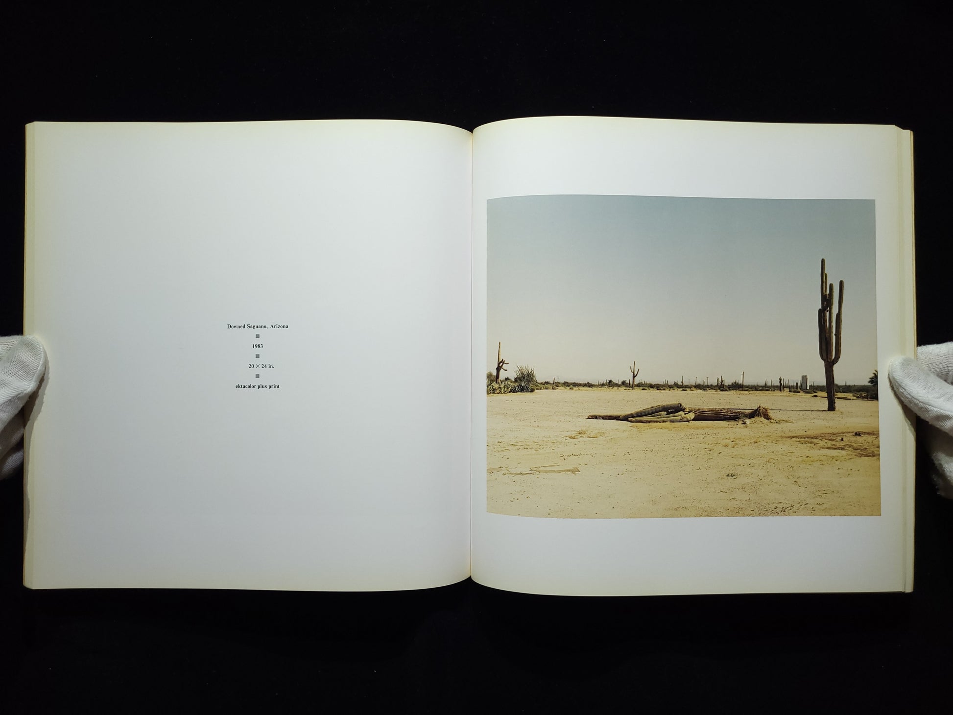 Richard Misrach Photographs 1975-1987