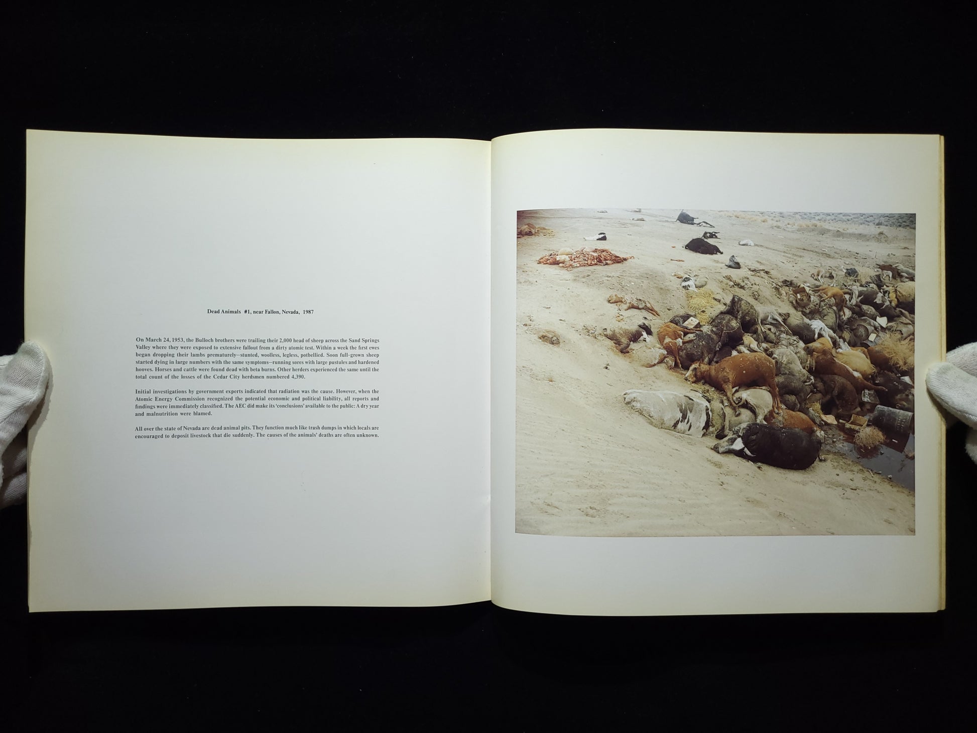 Richard Misrach Photographs 1975-1987