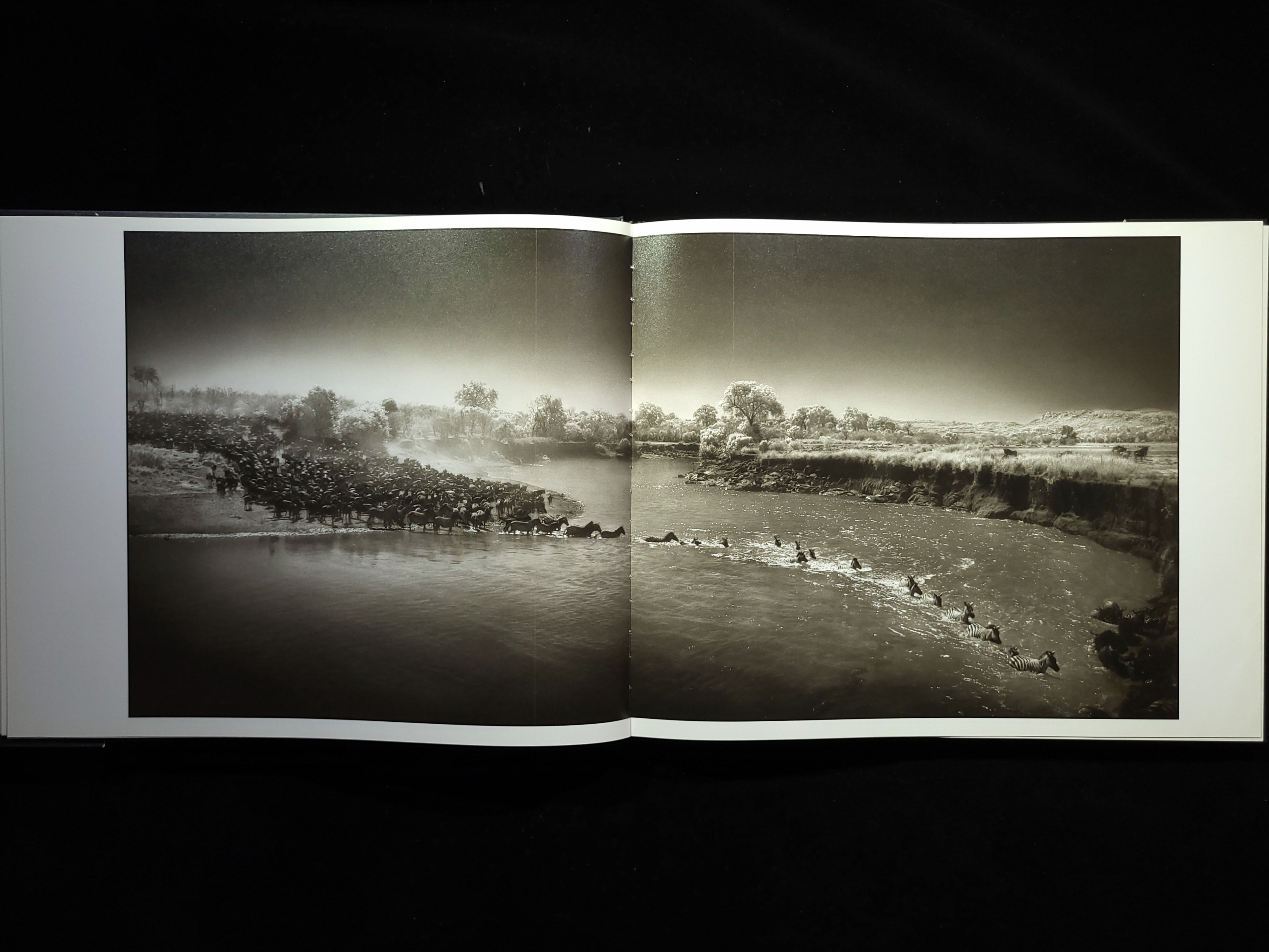 A Shadow Falls / Nick Brandt | hiponoz攝影書店