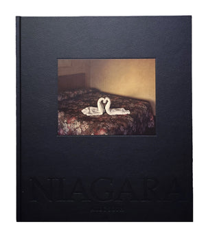 Alec Soth Niagara