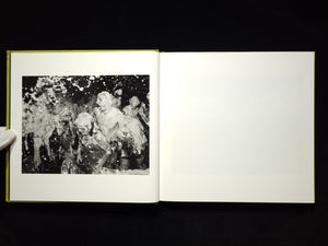 Alec Soth Songbook