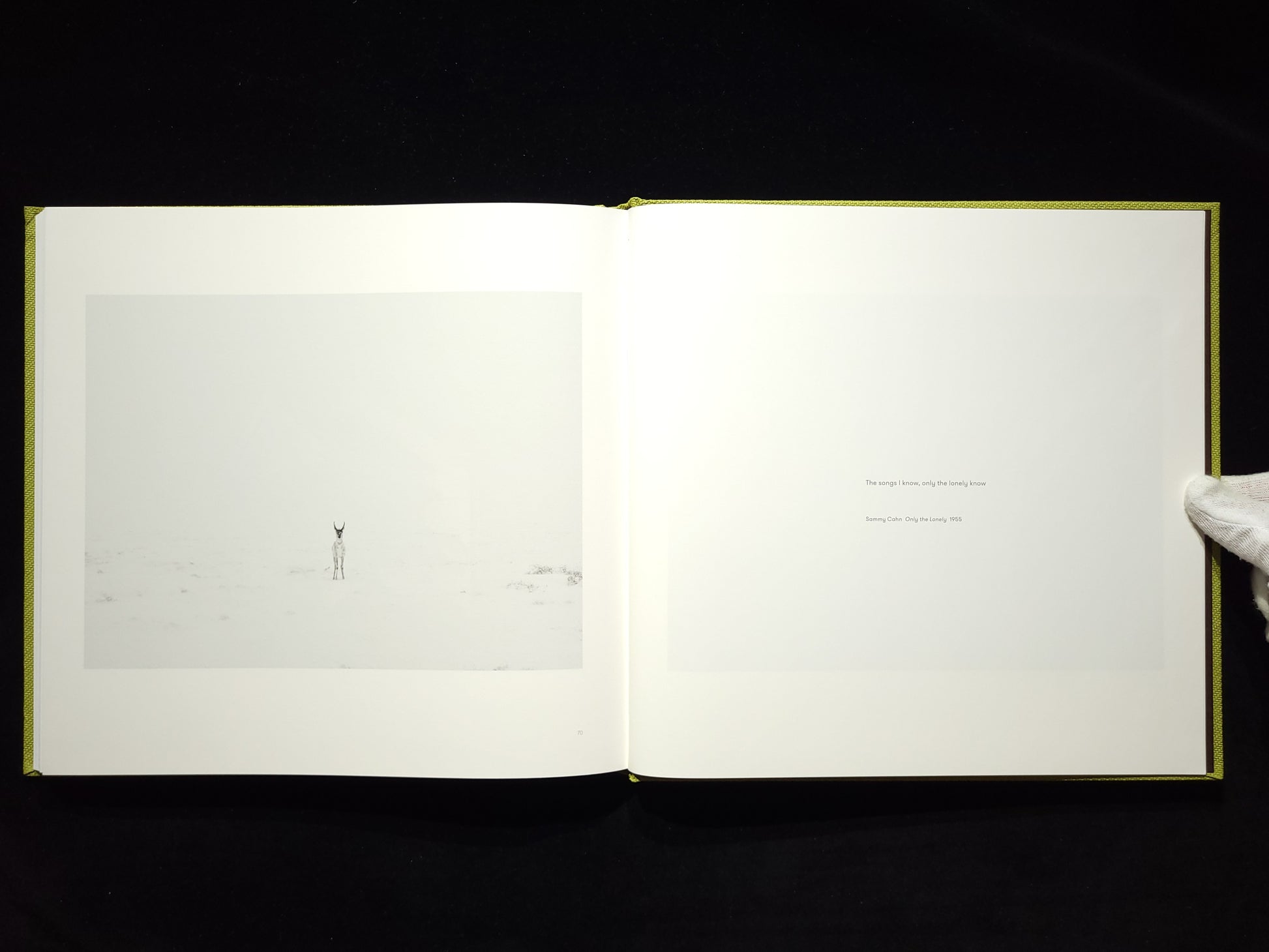 Alec Soth Songbook