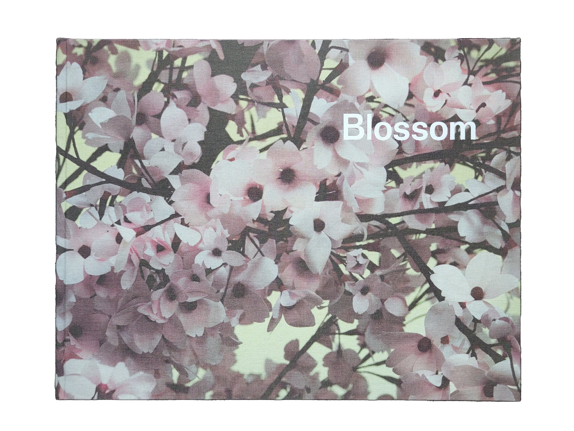 Thomas Demand Blossom