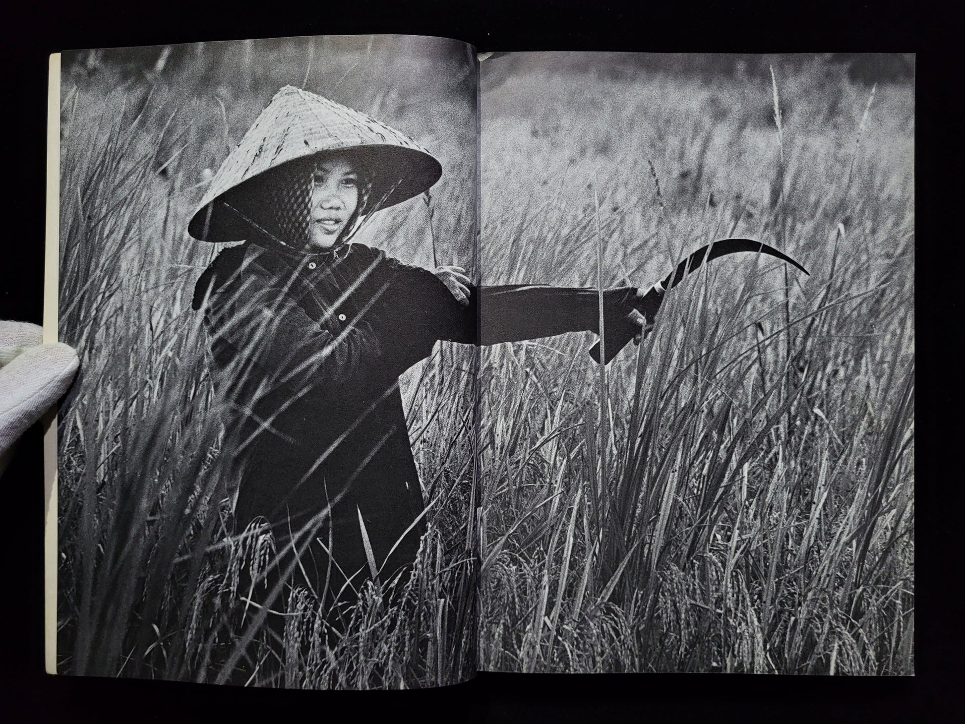 Vietnam Inc. / Philip Jones Griffiths