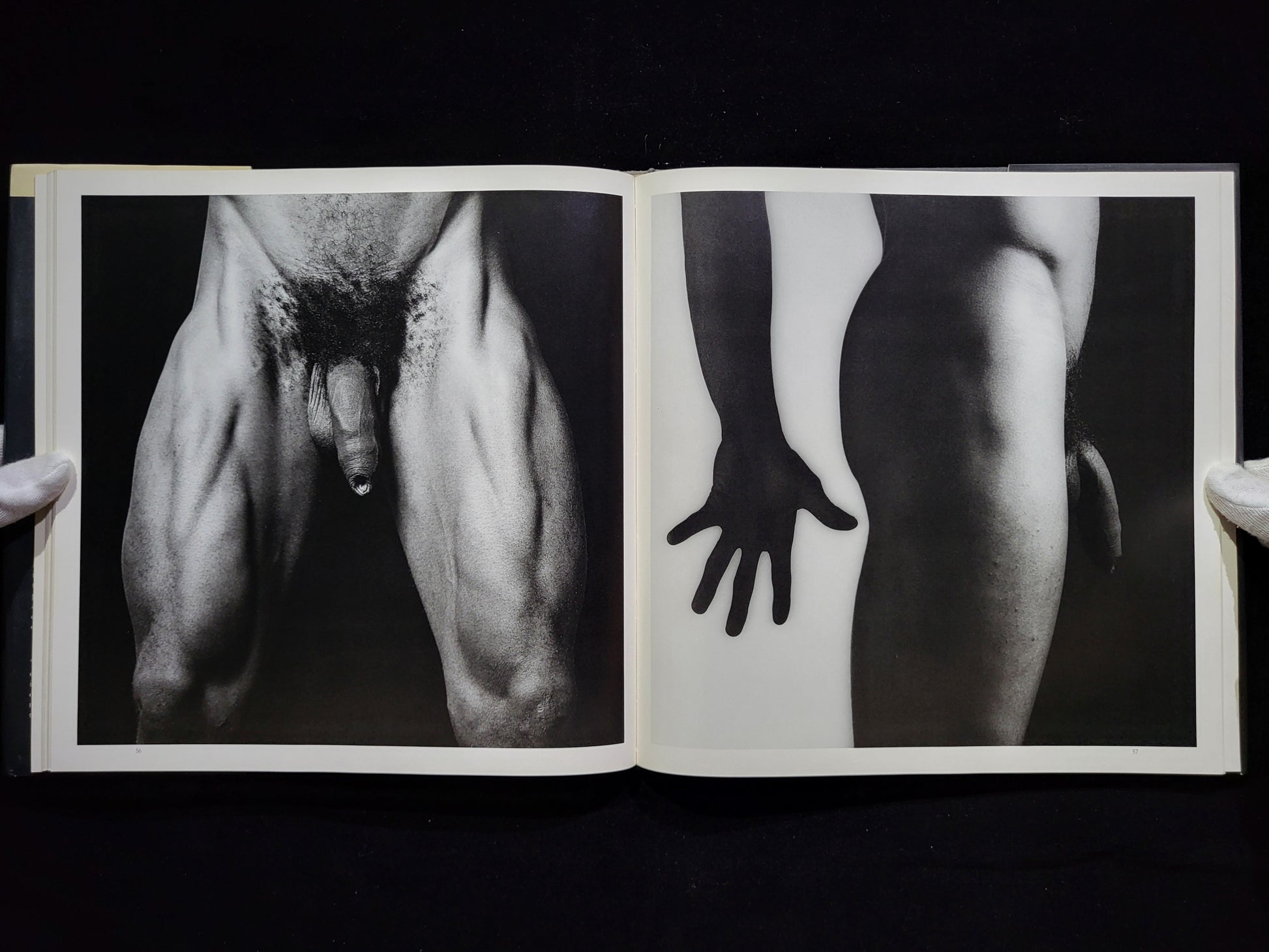 Black Book / Robert Mapplethorpe