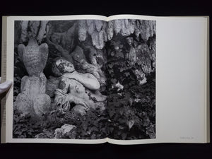 Lisette Model