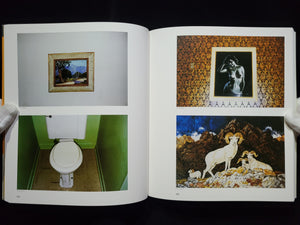 American Surfaces Stephen Shore