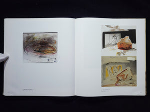 Sigmar Polke Photoworks