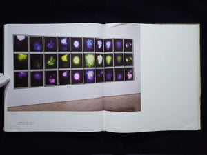 Sigmar Polke Photoworks