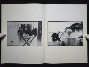 Robert Rauschenberg Photographs