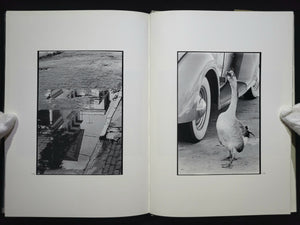Robert Rauschenberg Photographs