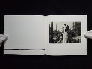 Lee Friedlander: Self Portrait