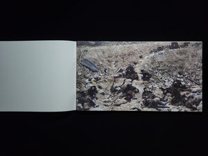 Dead Troops Talk Jeff Wall