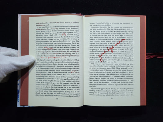 Sophie Calle: Double Game