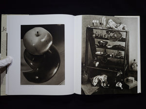 Poet Of Prague / Josef Sudek