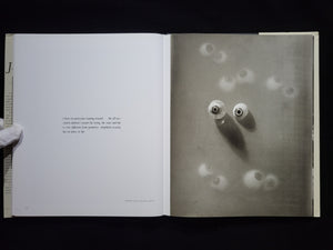 Poet Of Prague / Josef Sudek