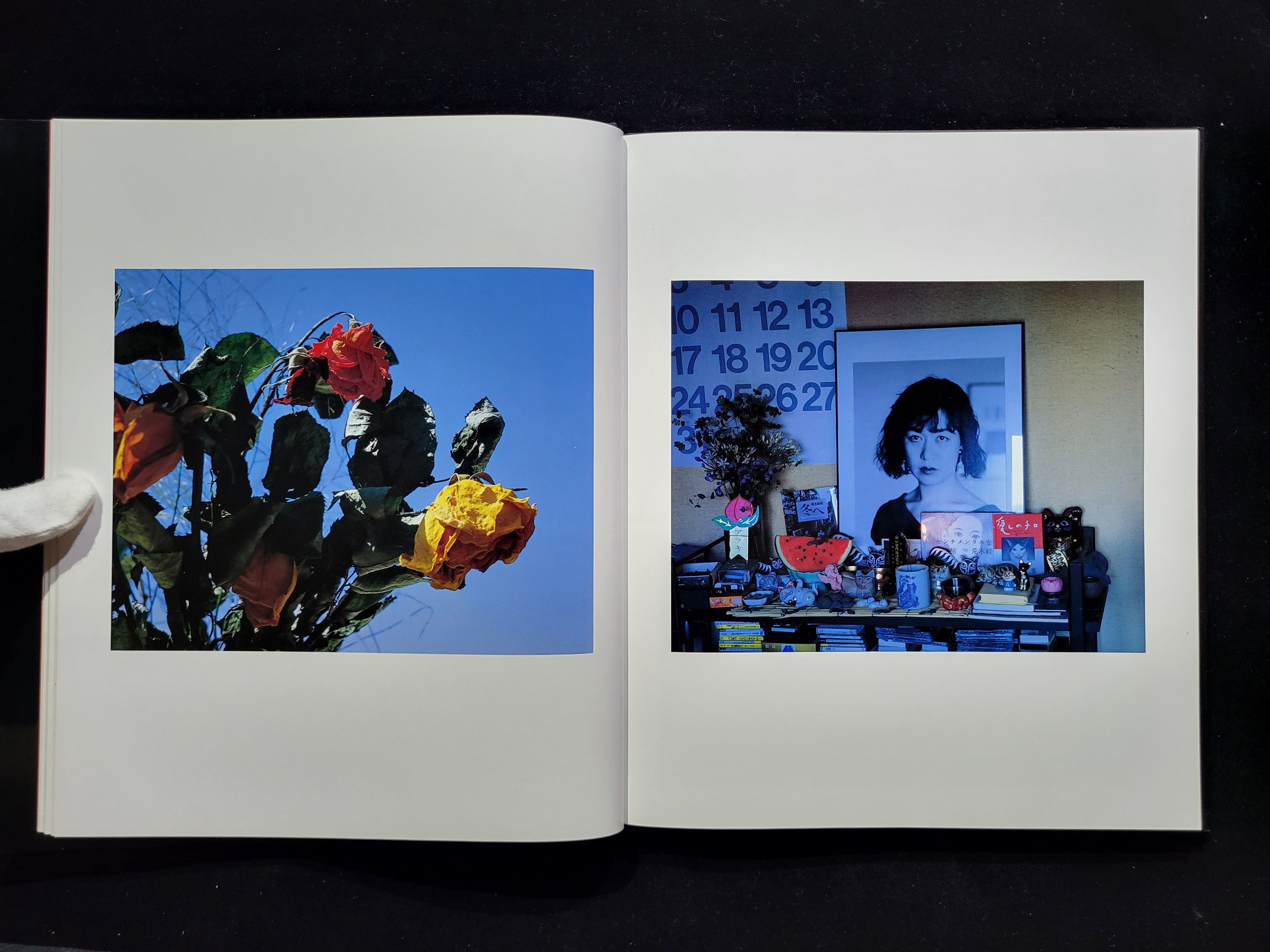 荒木経惟 色景 色景 荒木経惟 Nobuyoshi Araki(荒木経惟 Nobuyoshi Araki) / 古本