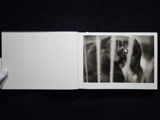 猪瀬光　全作品