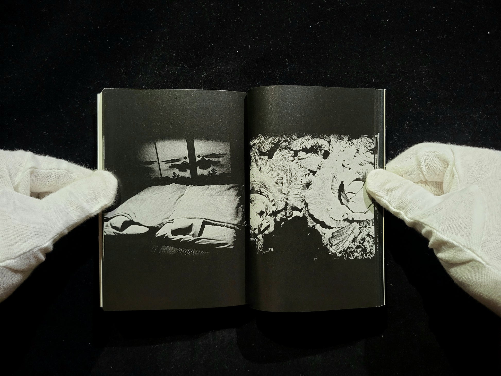 遠野物語 / 森山大道