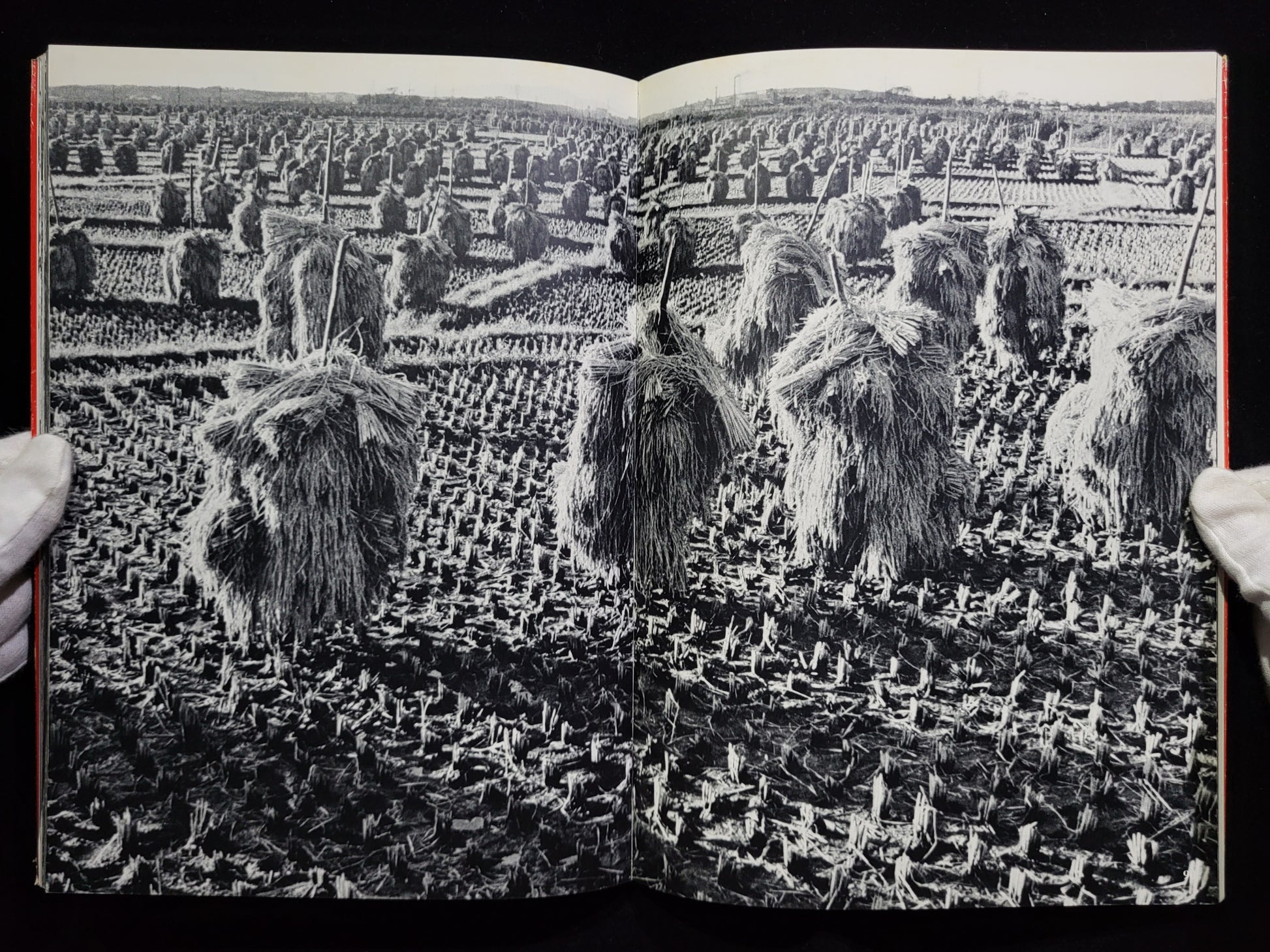 秋田 / 木村伊兵衛