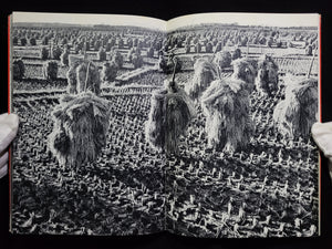 秋田 / 木村伊兵衛