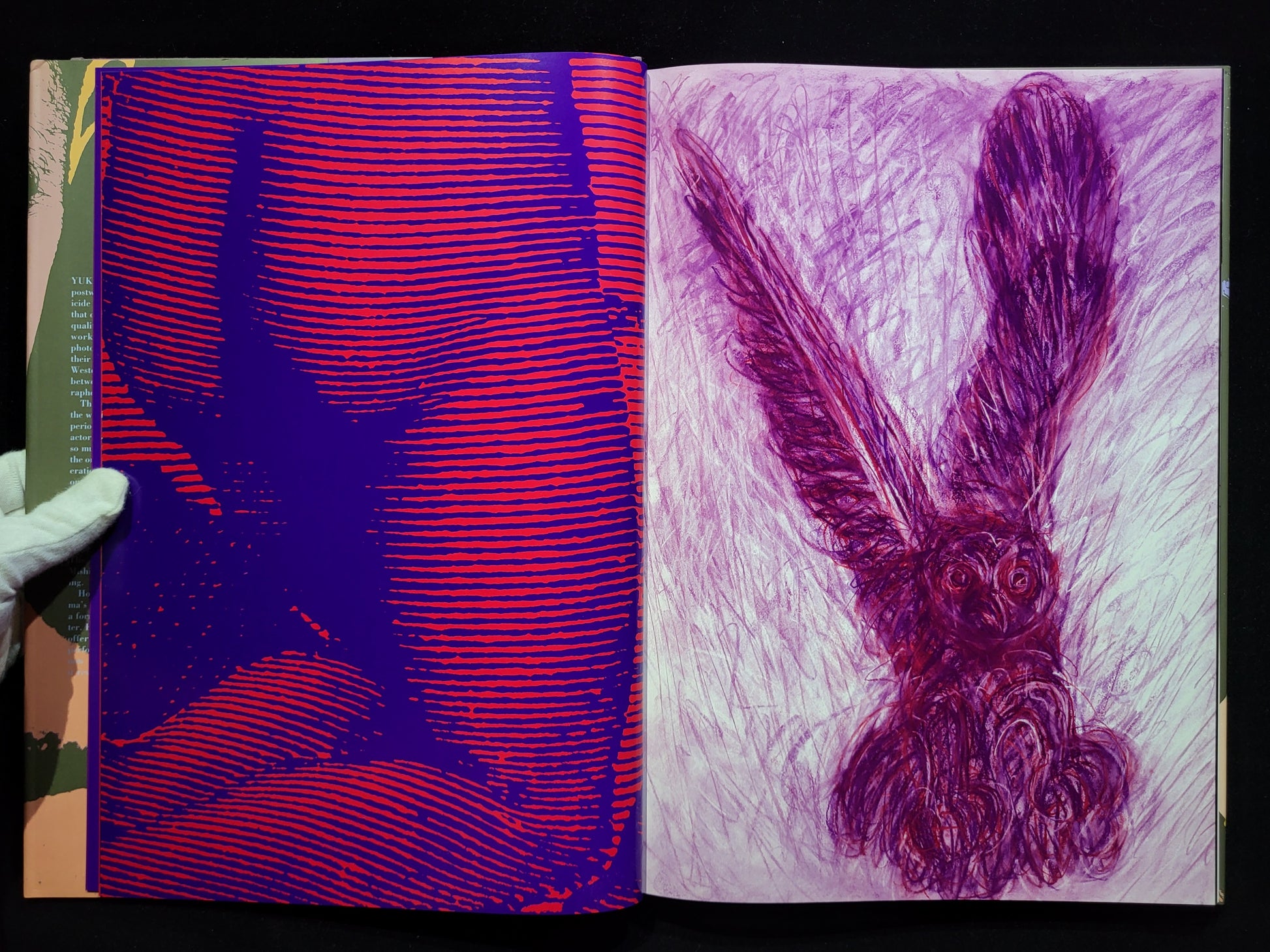 薔薇刑 BA-RA-KE-I / 細江英公