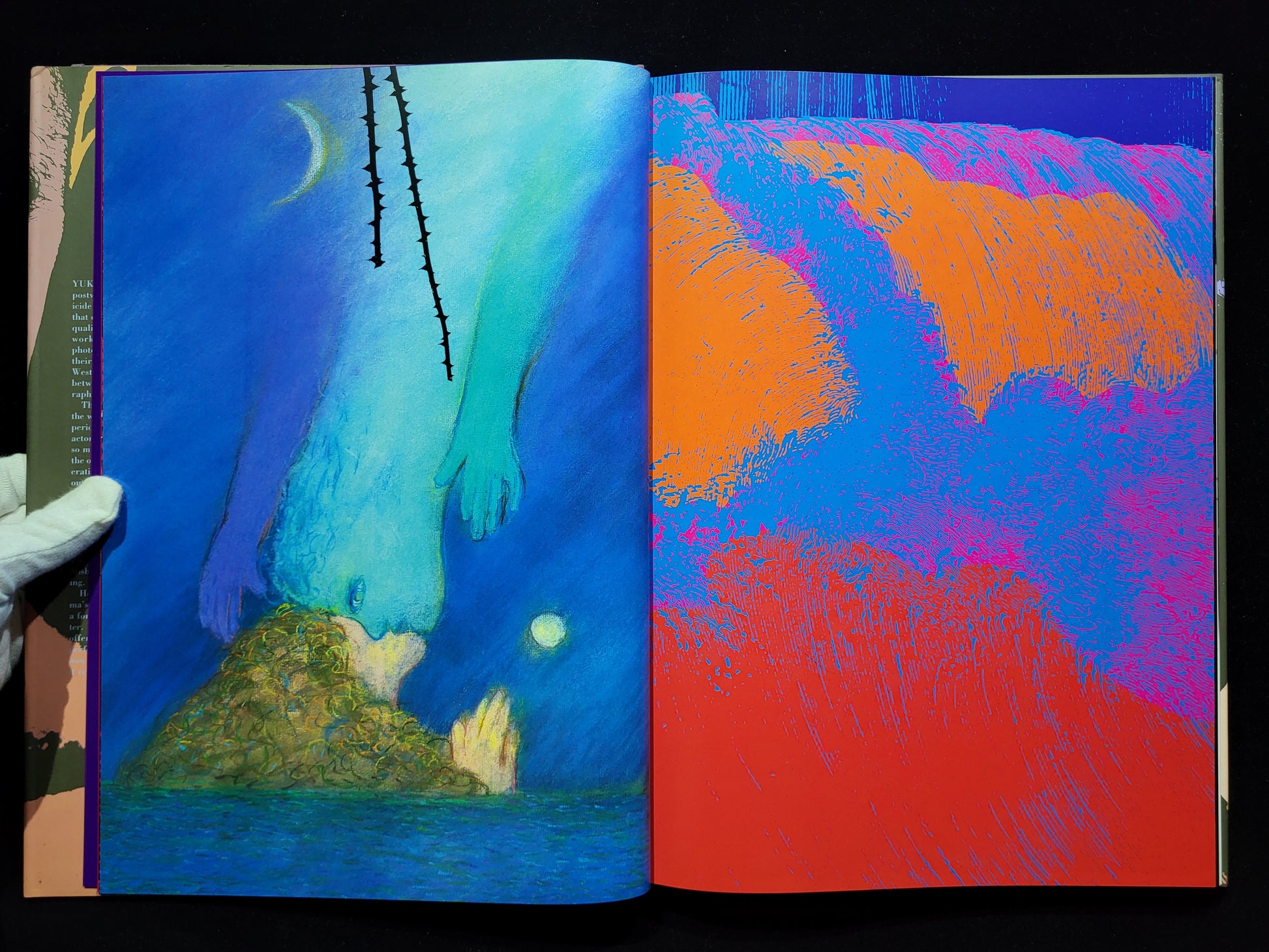 薔薇刑 BA-RA-KE-I / 細江英公