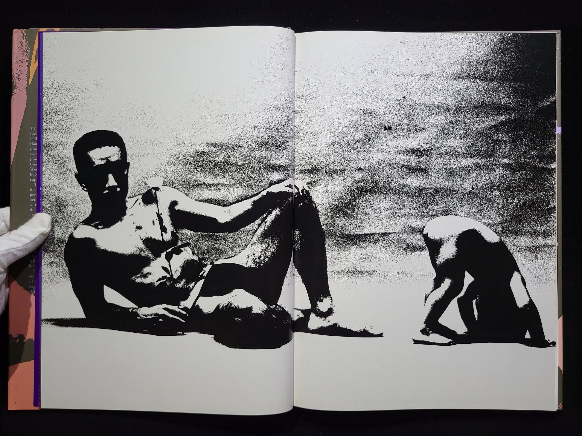 薔薇刑 BA-RA-KE-I / 細江英公