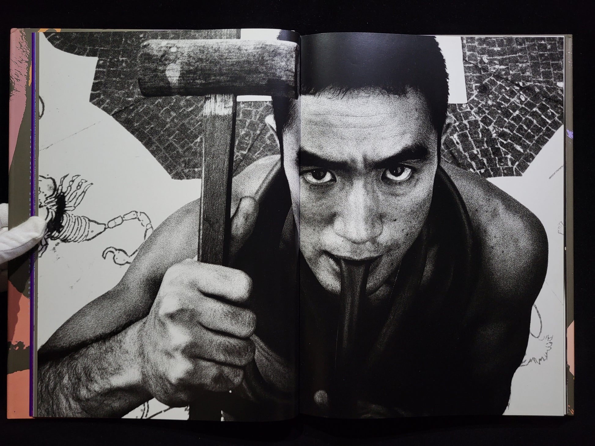 薔薇刑 BA-RA-KE-I / 細江英公