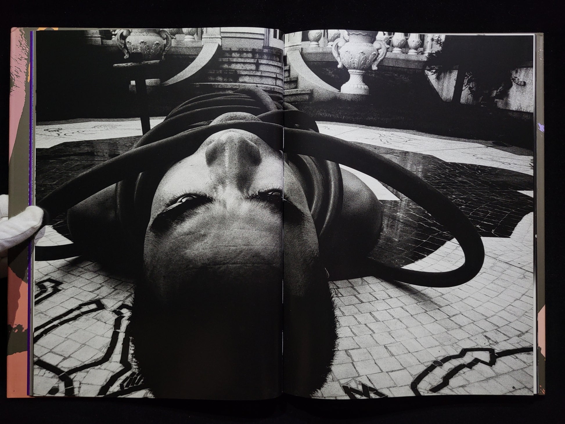 薔薇刑 BA-RA-KE-I / 細江英公