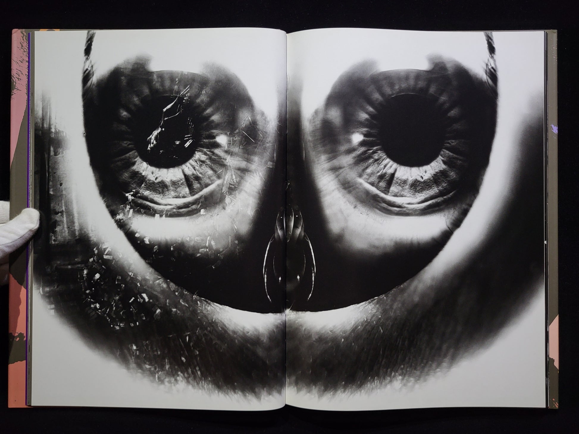 薔薇刑 BA-RA-KE-I / 細江英公