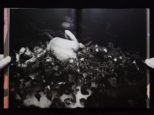 薔薇刑 BA-RA-KE-I / 細江英公