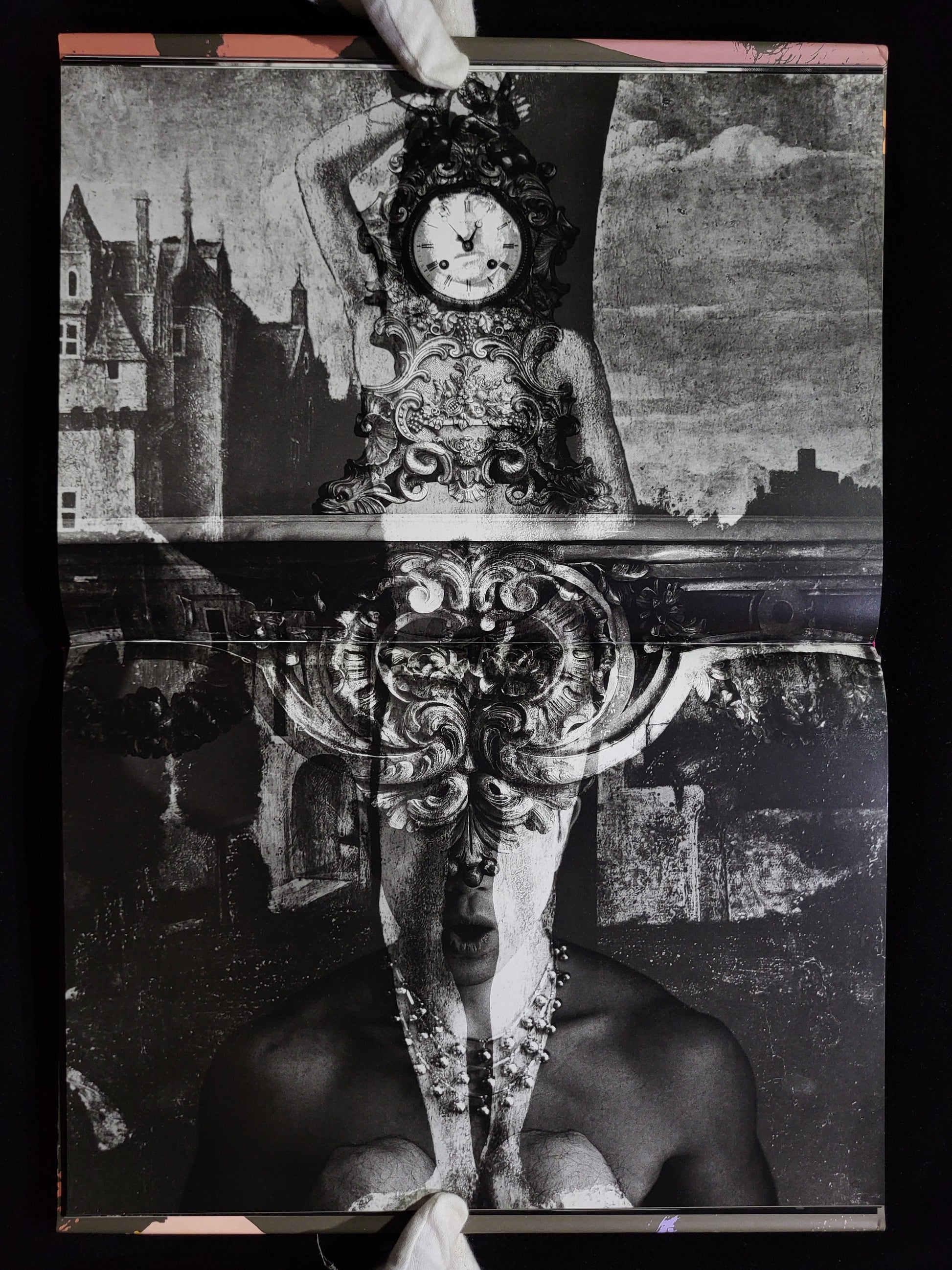 薔薇刑 BA-RA-KE-I / 細江英公