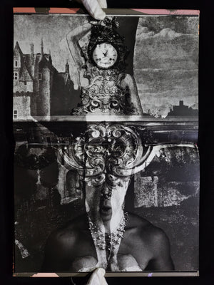 薔薇刑 BA-RA-KE-I / 細江英公