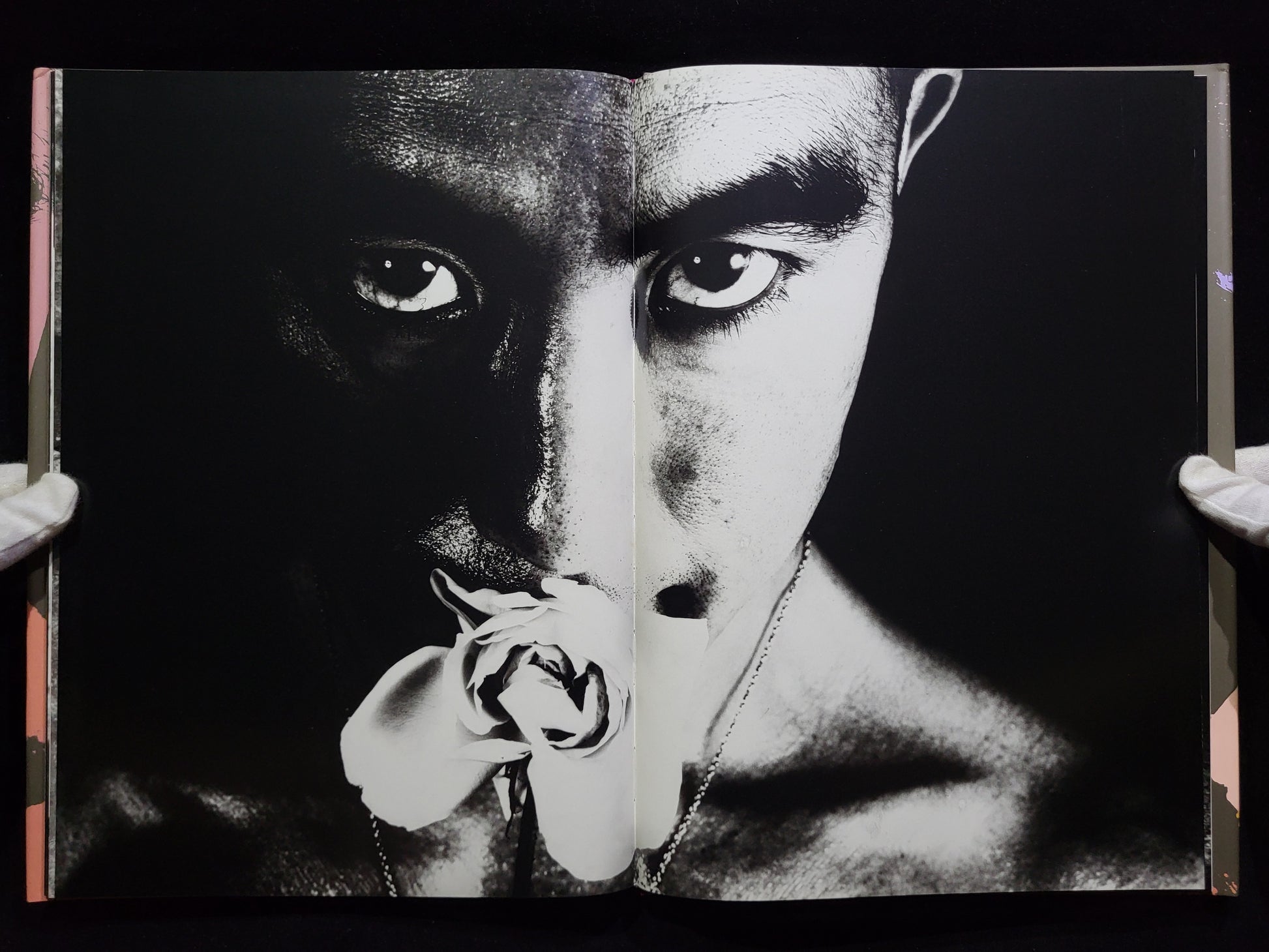 薔薇刑 BA-RA-KE-I / 細江英公